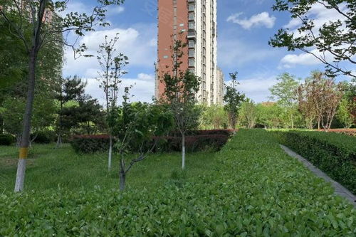 八家嘉園優點 不足,八家嘉園怎么樣,八家嘉園周邊房產中介經紀人評價