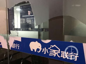小家聯行以租客名義貸款后跑路 前員工 沒錢不跑干啥